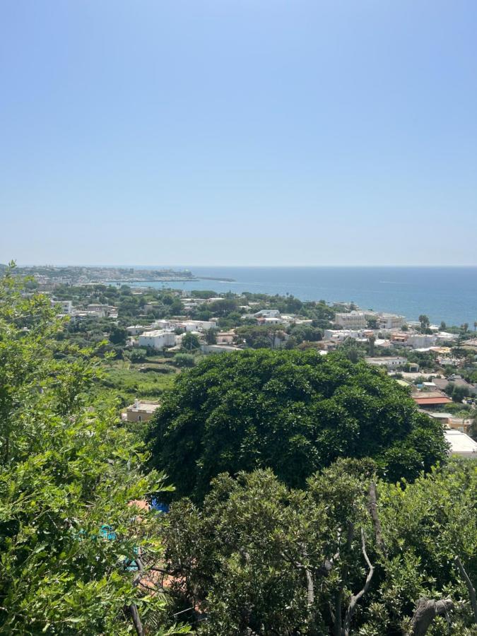 Blu Panorama Bed & Breakfast Forio  Exterior photo